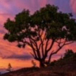 Profile photo of Prabath