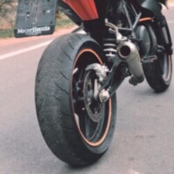 Profile photo of Sandy22