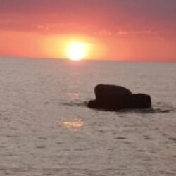 Profile photo of Guest 1319