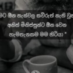 Profile photo of shanigiff