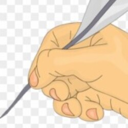 Profile photo of madushan rathnayaka