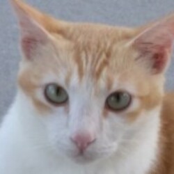 Profile photo of Jagath