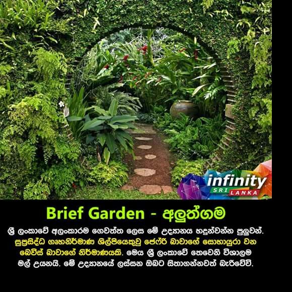 Profile picture of anas