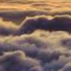 Profile photo of shamira thrimal