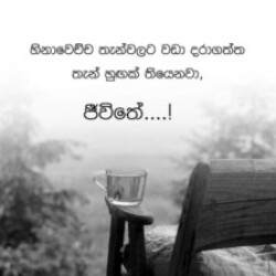 Profile photo of Supun madushan