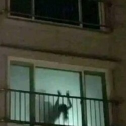 Profile photo of Ewill boy