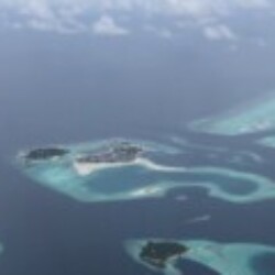 Profile photo of Mohamed