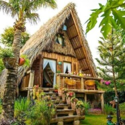 Profile photo of Abdul Ca