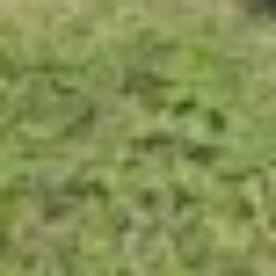 Profile photo of Niraml de silva