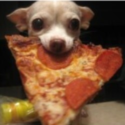 Profile photo of Dul Anji Nuwan