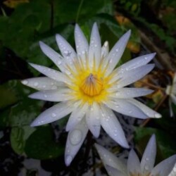 Profile photo of Kasun