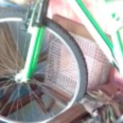 Profile photo of Sampath