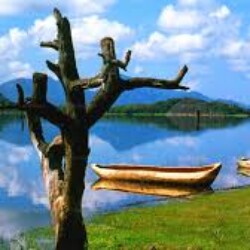 Profile photo of Asiri Kariyawasam