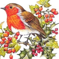 Profile photo of Sampath