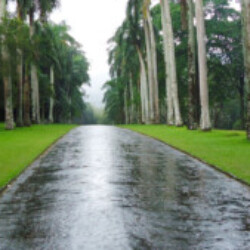 Profile photo of Jenny