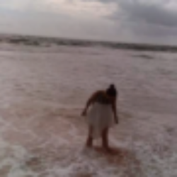 Profile photo of Richard