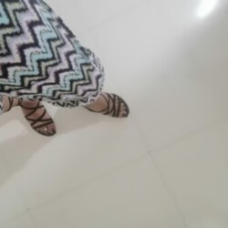 Profile photo of Emma