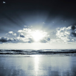 Profile photo of dev18