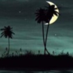 Profile photo of Lakshan