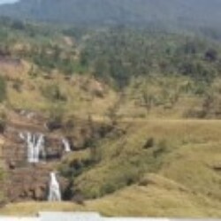 Profile photo of Dhanu