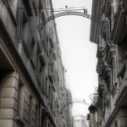 Profile photo of nipun