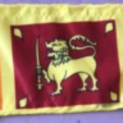 Profile photo of Uchitha