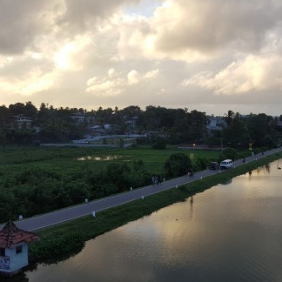 Profile photo of Madhusanka