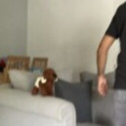 Profile photo of Chaminda