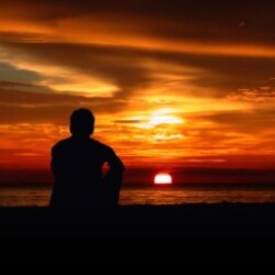 Profile photo of dilshan