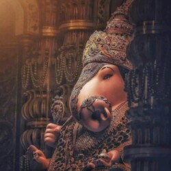 Profile photo of sanjana