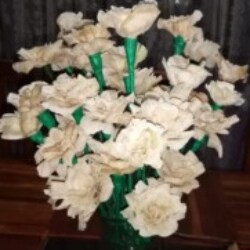 Profile photo of Disanka