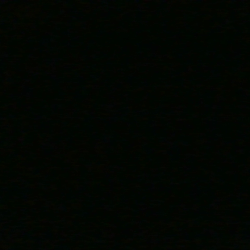 Profile photo of Husband for wives