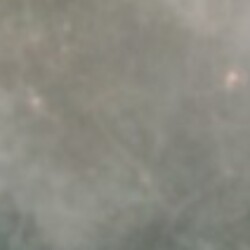 Profile photo of Nimali
