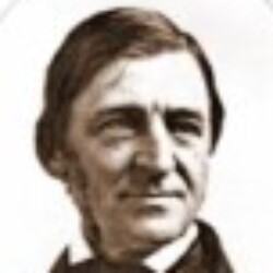 Profile photo of Gaveen