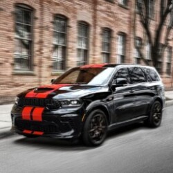 Profile photo of Bryan Adams