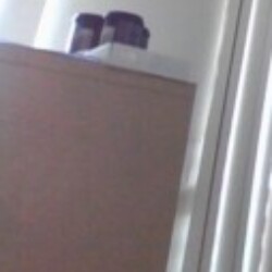 Profile photo of Sanka