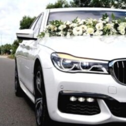 Profile picture of Tharindu