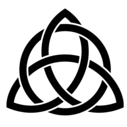 Profile photo of Scout Ranger