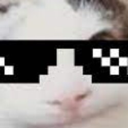 Profile photo of rasangawwwwwww