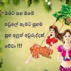 Profile photo of chanaka