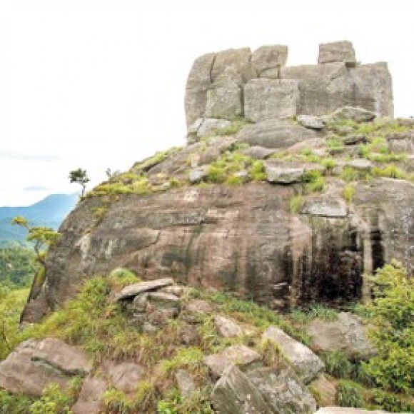 Profile photo of Chamara S