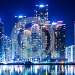 Profile photo of Lakmal lakmal