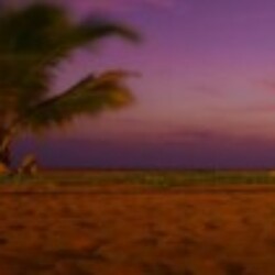 Profile photo of Hashan