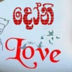 Profile photo of Nimesha