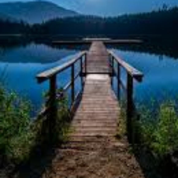 Profile picture of sajith