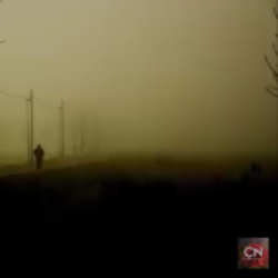 Profile photo of bi hre any f