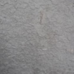 Profile photo of Ruwan bandara