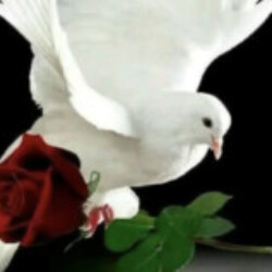 Profile photo of Kamal