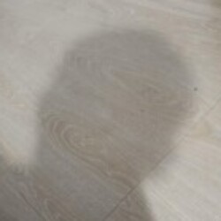 Profile picture of senan