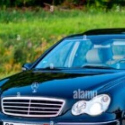 Profile photo of sara